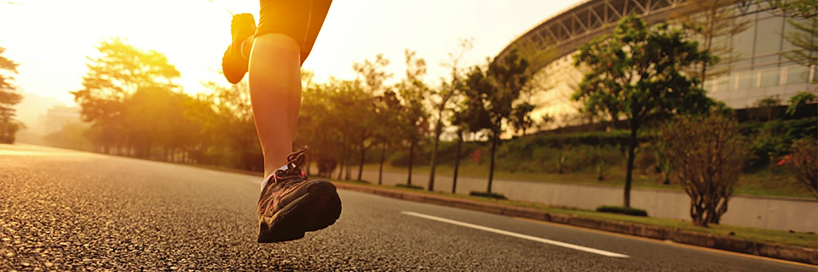 HealthierFact's profile banner image
