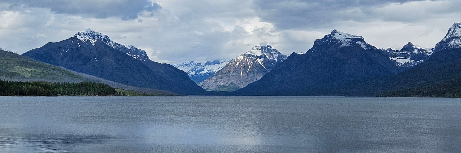 redfoxblueflower banner