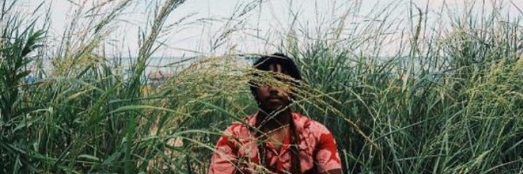 Hum_onnature's profile banner image