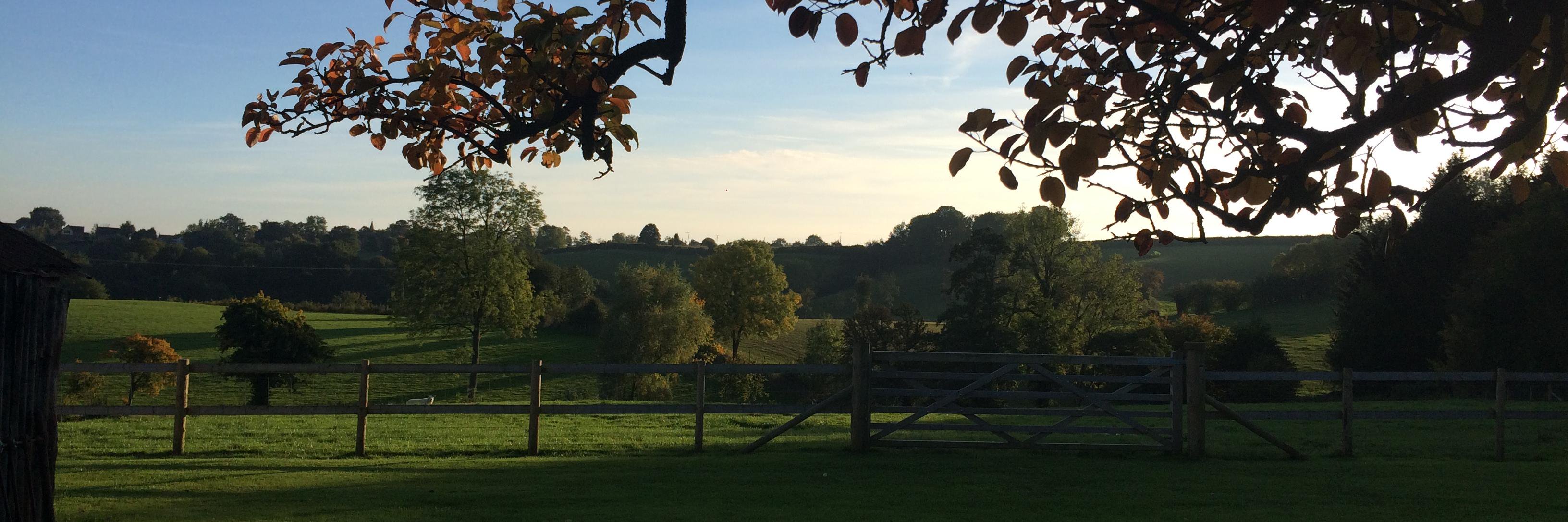 Redford Farms Barns banner