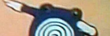 Parker_Out_Back's profile banner image