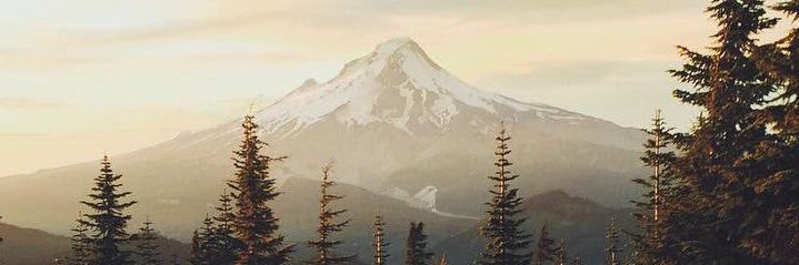 robinjustinemay's profile banner image