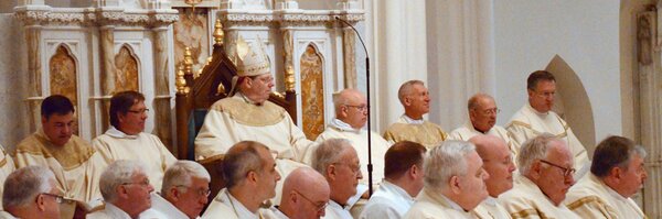 BishopDeeley Profile Banner