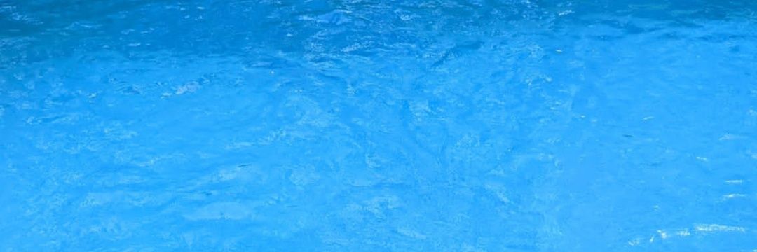 Suffy88 - Ailurophile banner