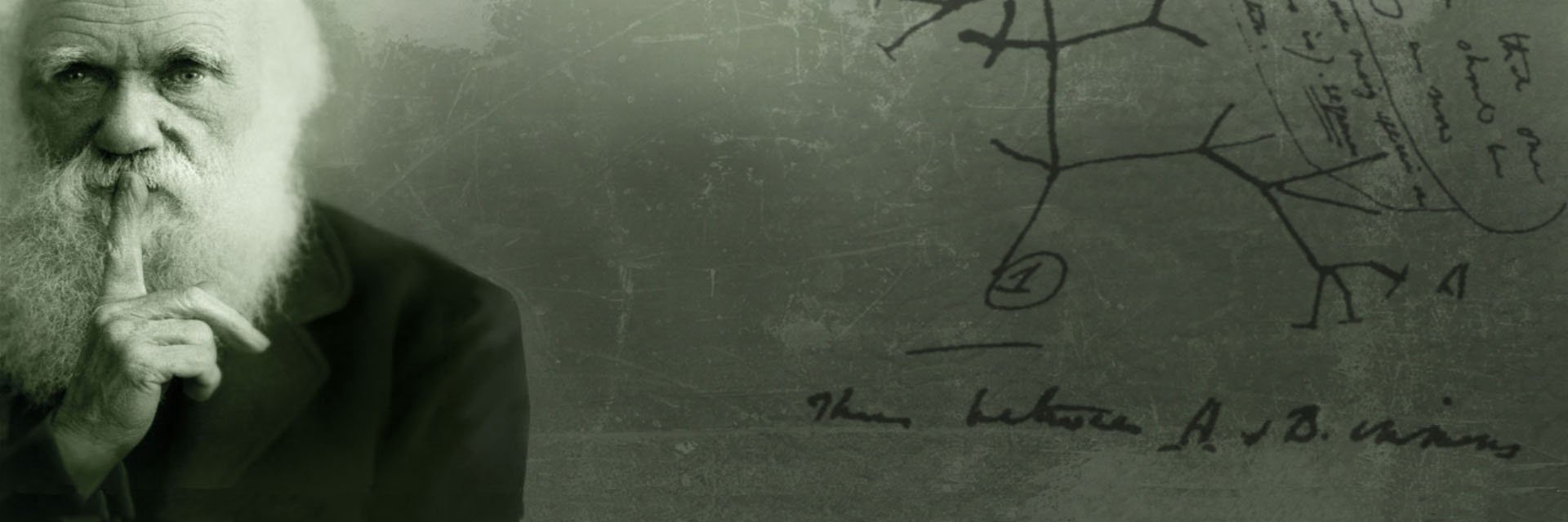 Pumpkinowsky's profile banner image