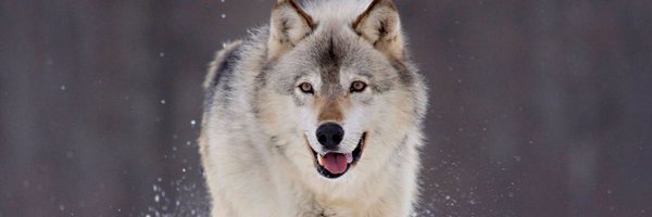manuperez_10's profile banner image