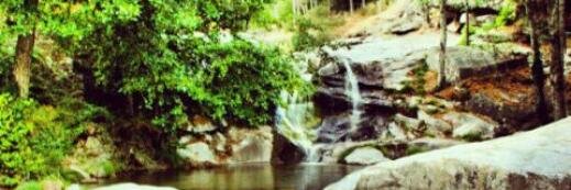 Mαríα Pérez Silvα ♡ banner