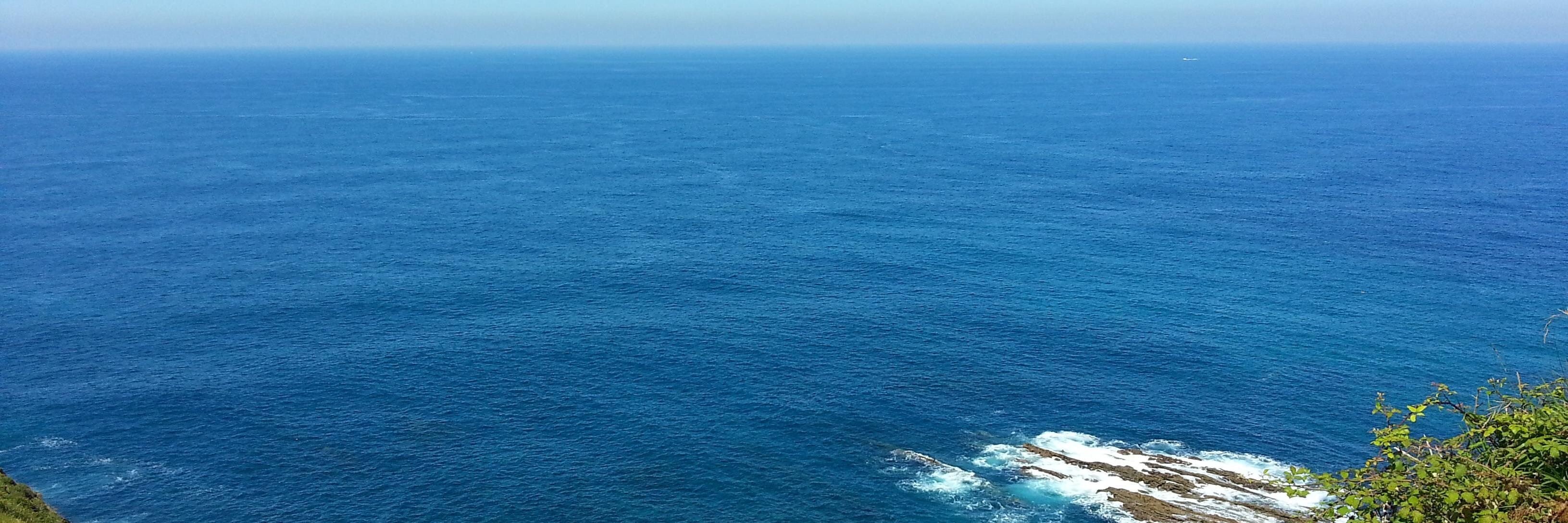 Francisco Moreno banner