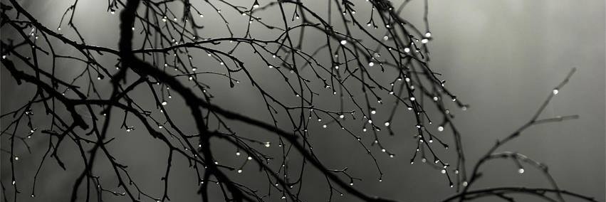 ES_ML_'s profile banner image