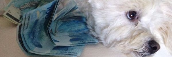 RobertQueiroz's profile banner image