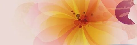 kemmie07's profile banner image