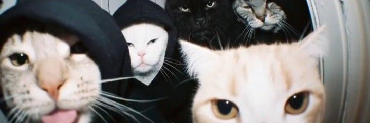 karito_abcdefgh's profile banner image