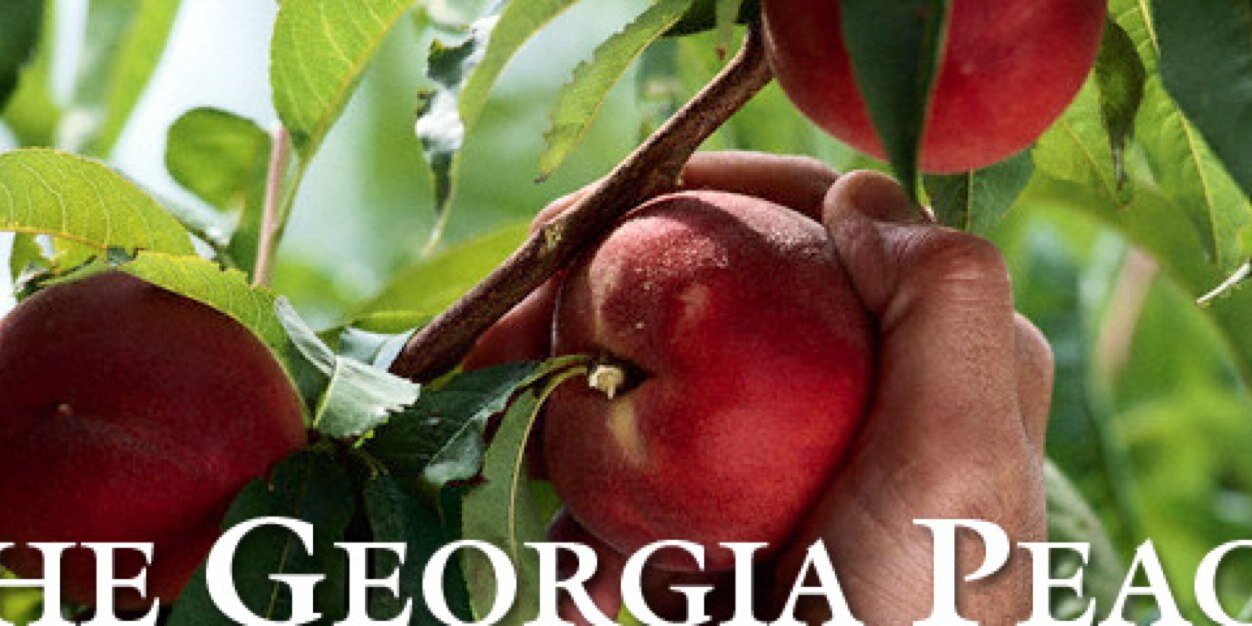 GeorgiaPeachR's profile banner image