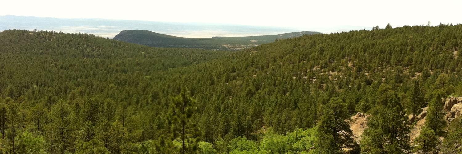 Laura Naranjo banner