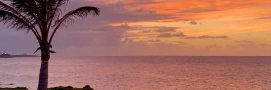 ___Andria's profile banner image