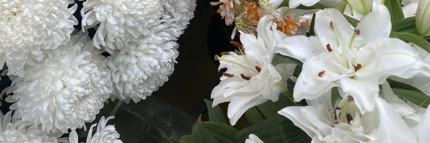 bernatheberry's profile banner image