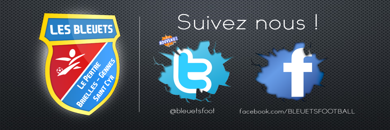 bleuetsfoot's profile banner image