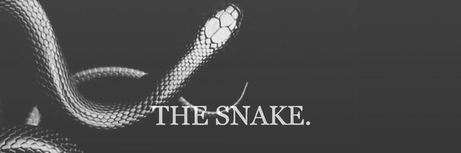 ⚝ 𝓥𝐄𝐒𝐏𝐄𝐑. banner