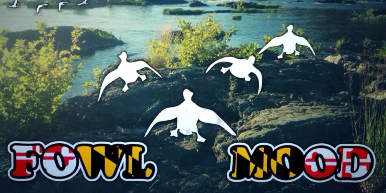 FowlMoodMD's profile banner image
