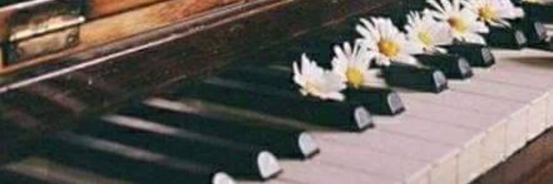 LinneaMBaker's profile banner image