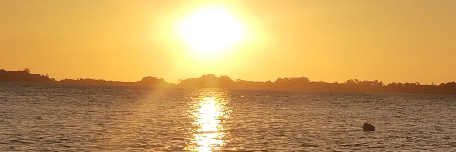 monicamber's profile banner image