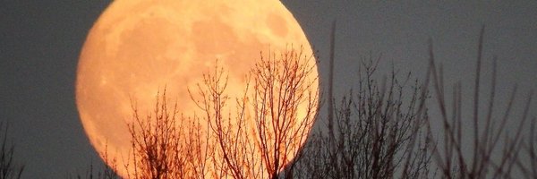 SueGallinger Profile Banner