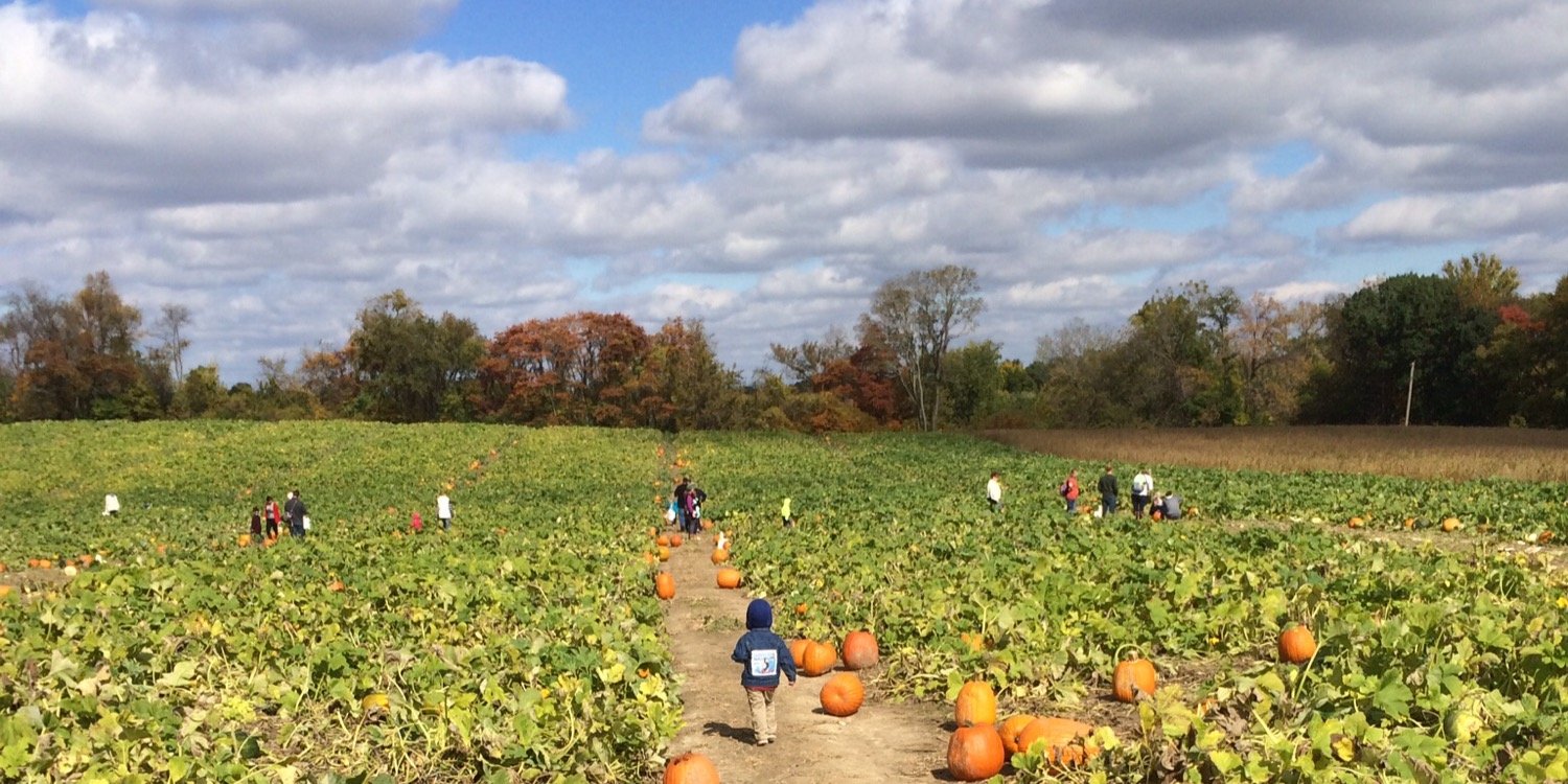 Nathan Martin banner