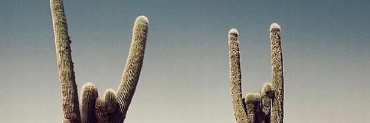 simplyjennarez's profile banner image