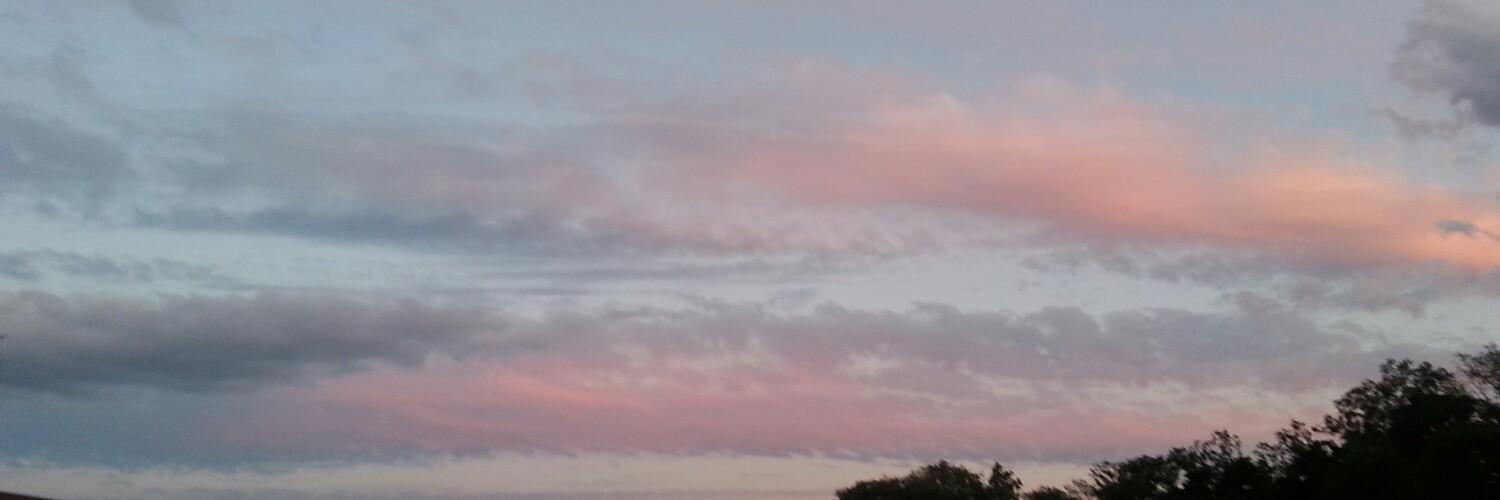SteeIfireX's profile banner image