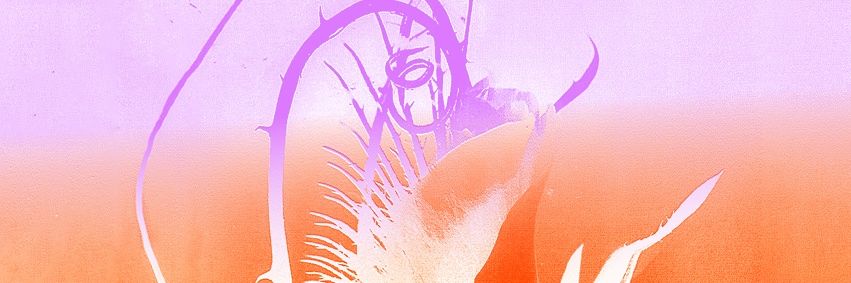 Les Siestes Festival banner