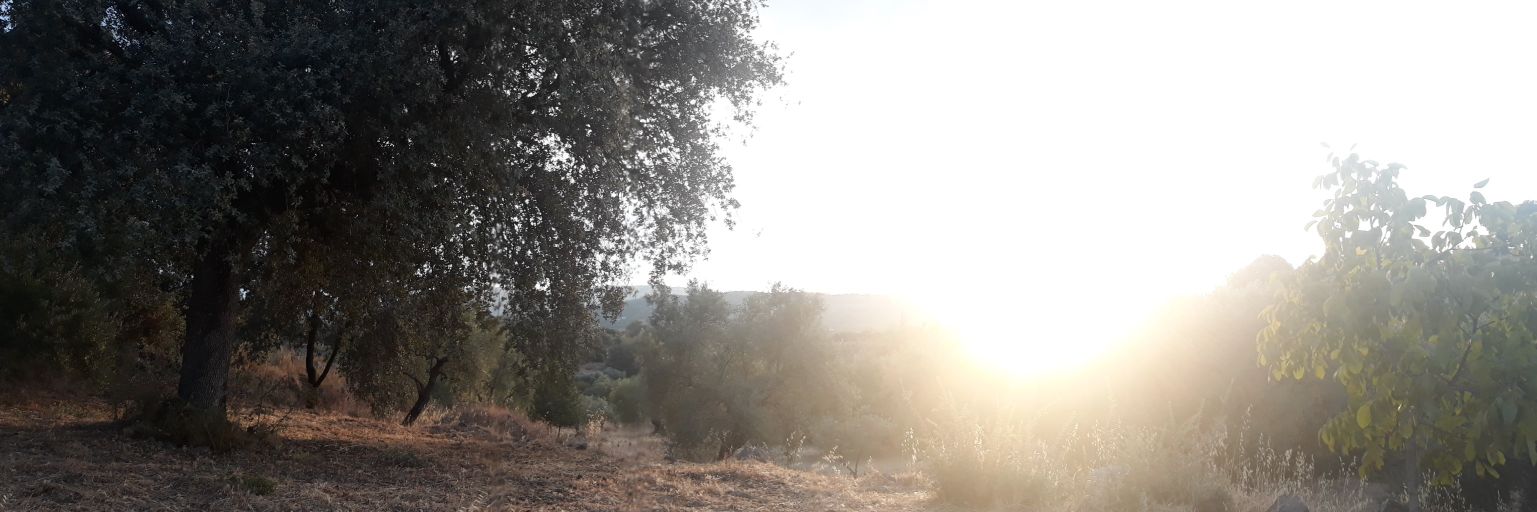 nicopresstoplay's profile banner image