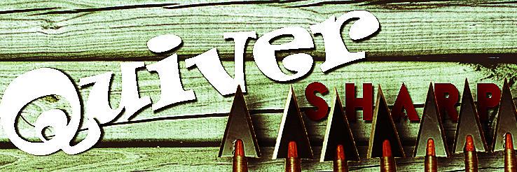 QuiverSharp's profile banner image