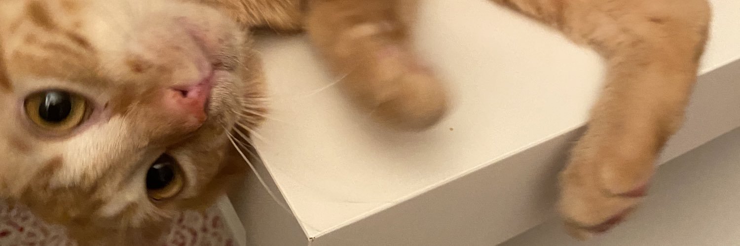 mondarinaCHINA's profile banner image