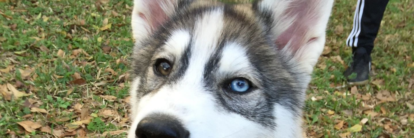 Mini_Jimmy13's profile banner image