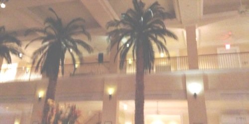 cameronjdbs's profile banner image