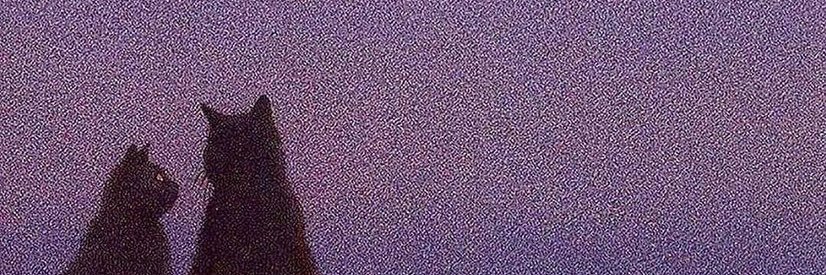 mshmsh1820's profile banner image