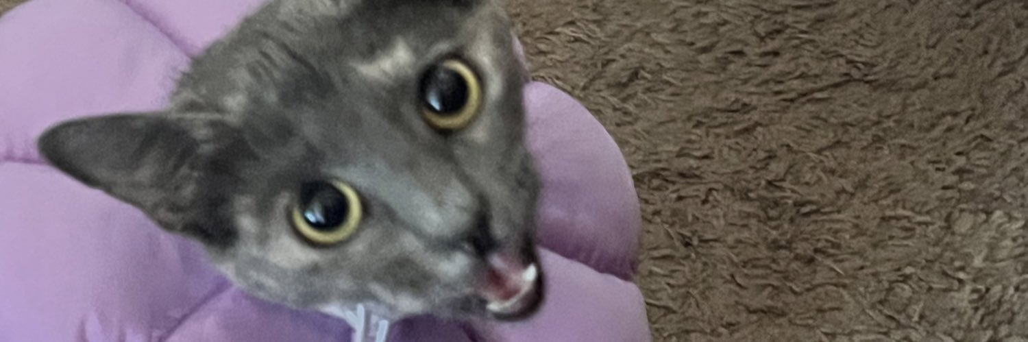 swiftstar2's profile banner image