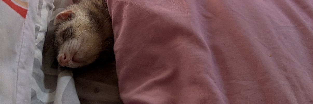 submaarinee's profile banner image