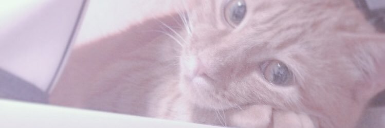 ginyaynig's profile banner image