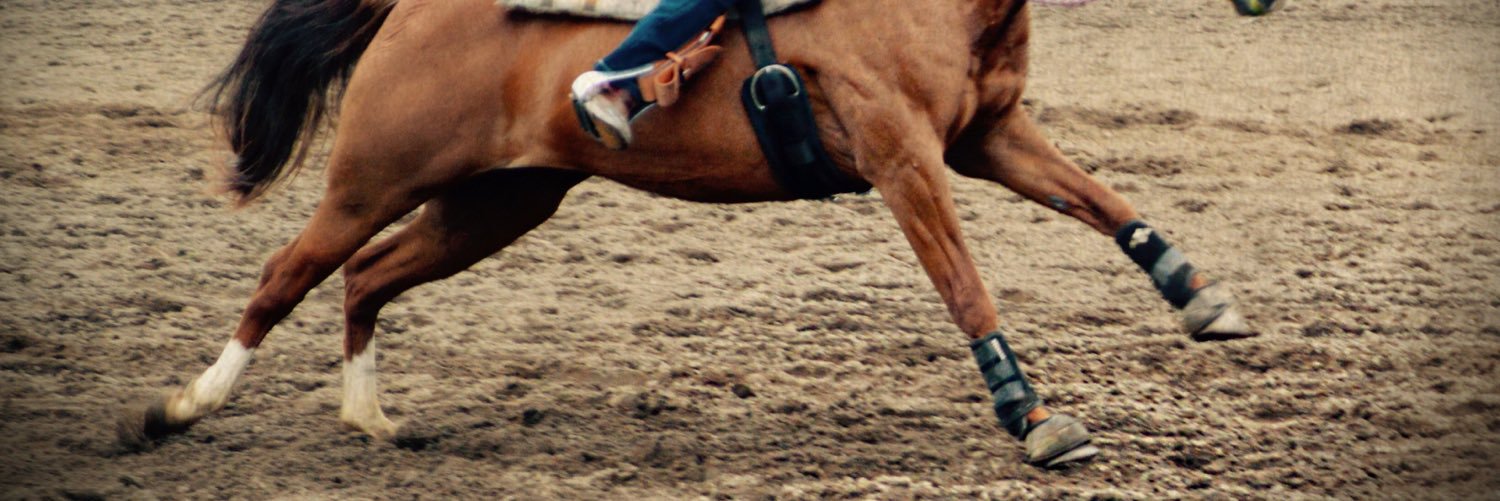 SauberMarySarah's profile banner image
