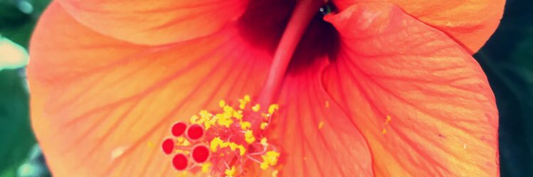 allydin11's profile banner image