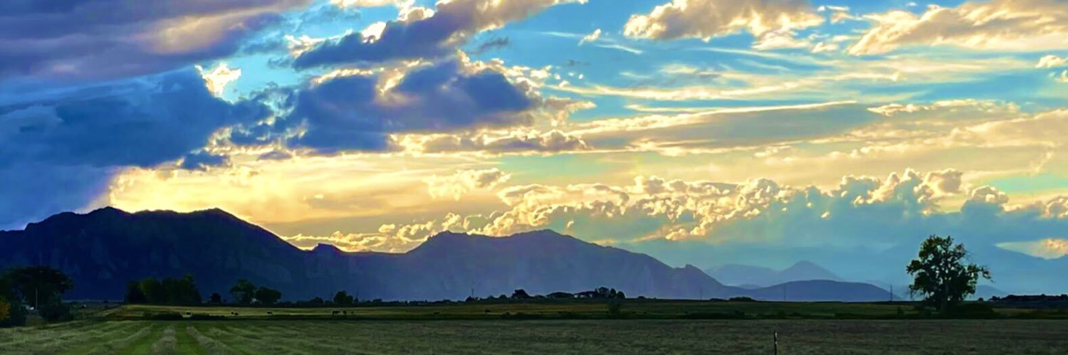 Nic Zachary 🇺🇦🌻 banner