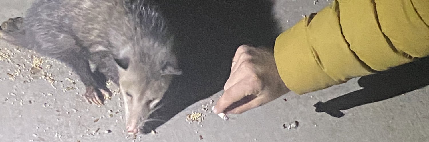 ItsMeTannerT's profile banner image