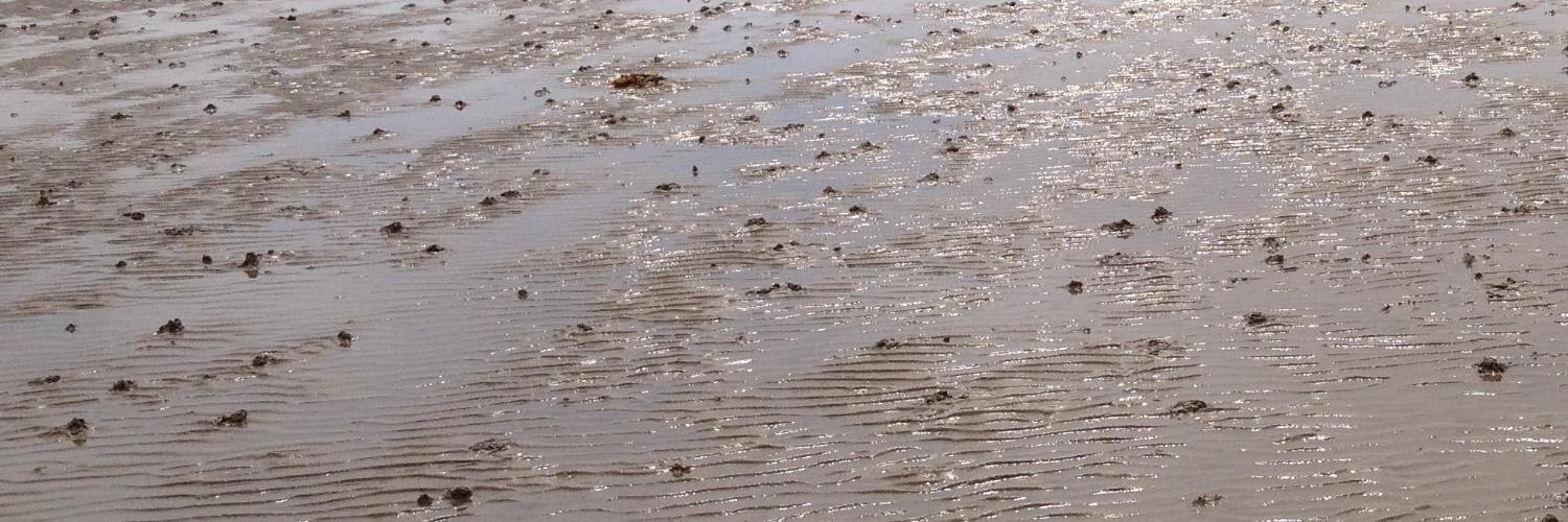 Isabel Naidoo banner