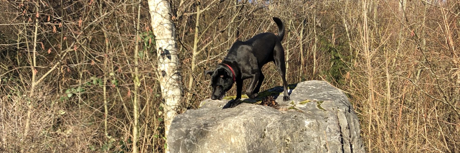 Not Your Sharona 🌻🚜🇺🇦 banner