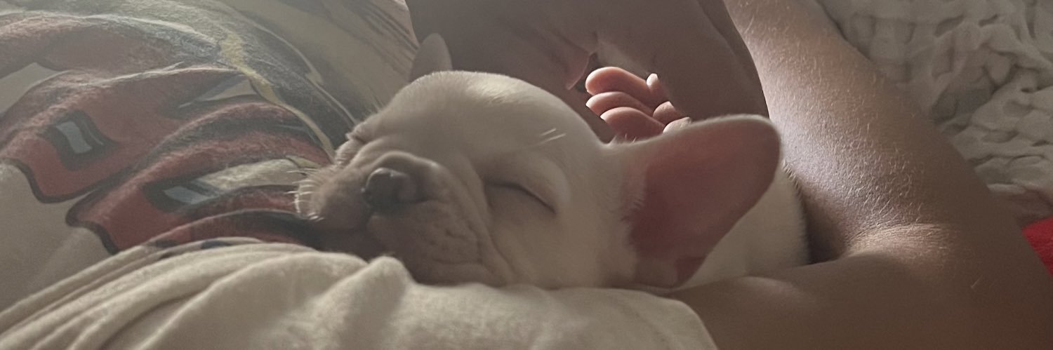 miysabelle's profile banner image