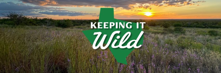 TPWFoundation banner