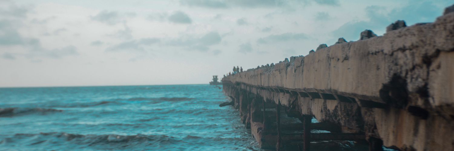 Charlie Cow 🇮🇱 banner