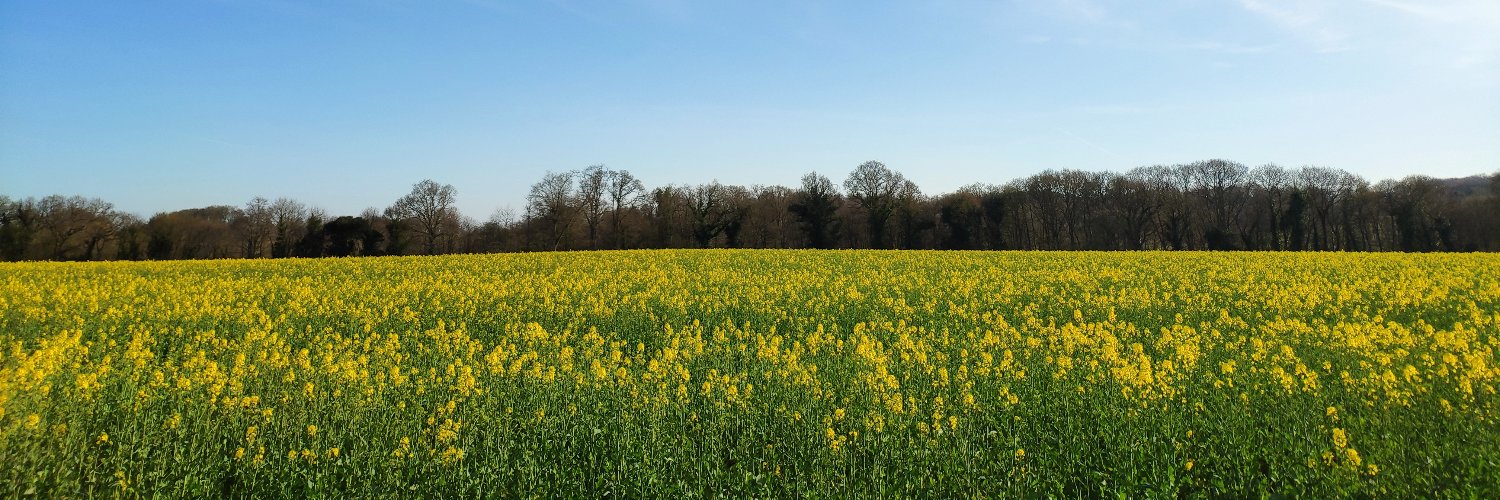 Bouillonmaison banner