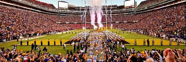 TigerDroppings's banner